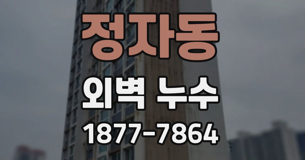 정자동 외벽 누수