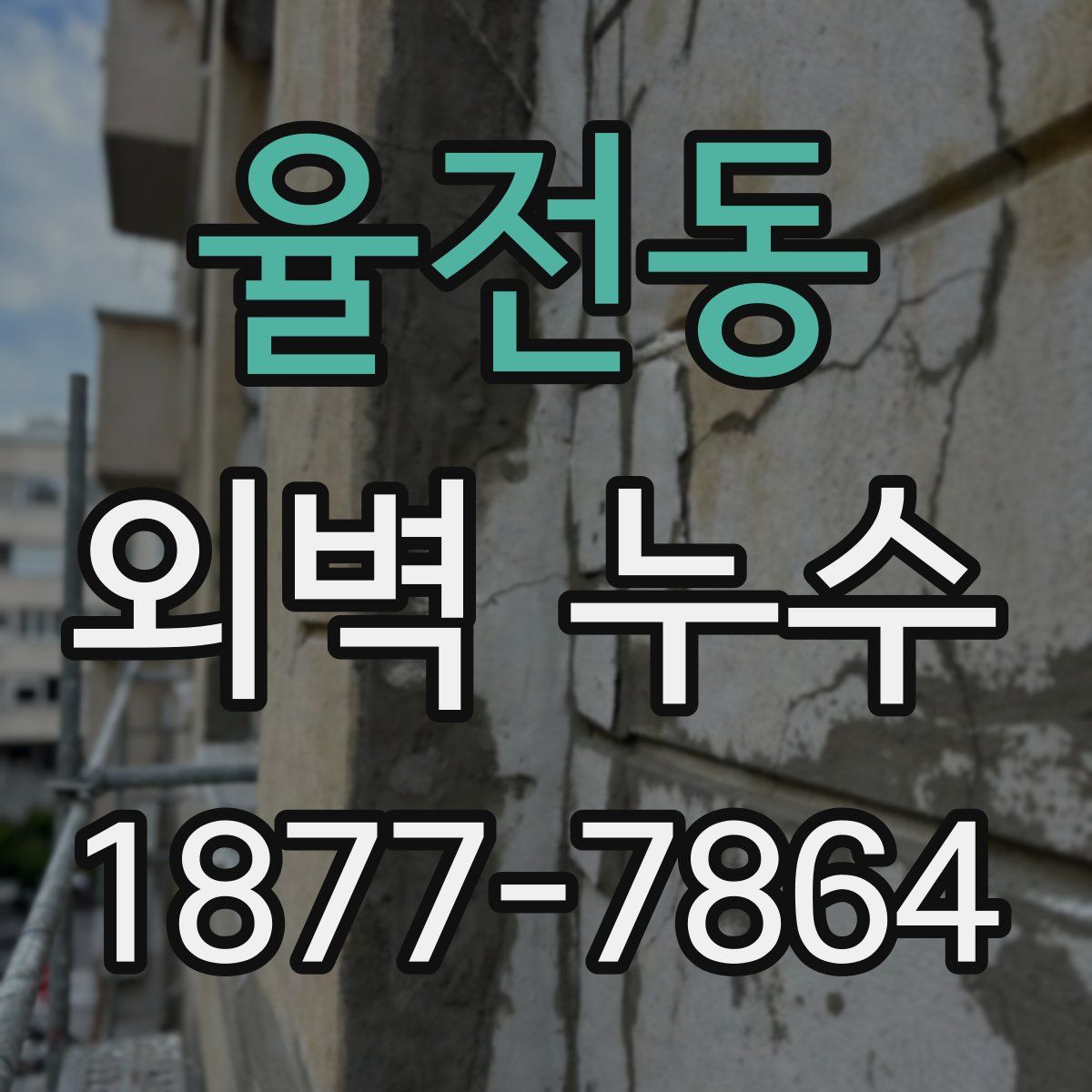 율전동 외벽 누수