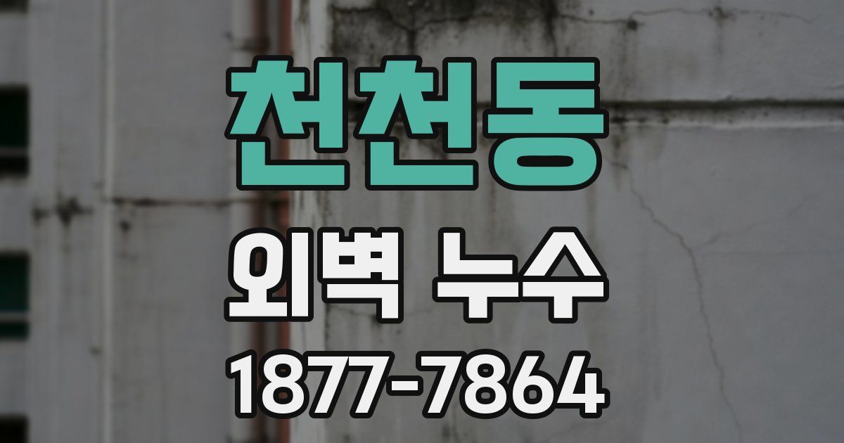 천천동 외벽 누수