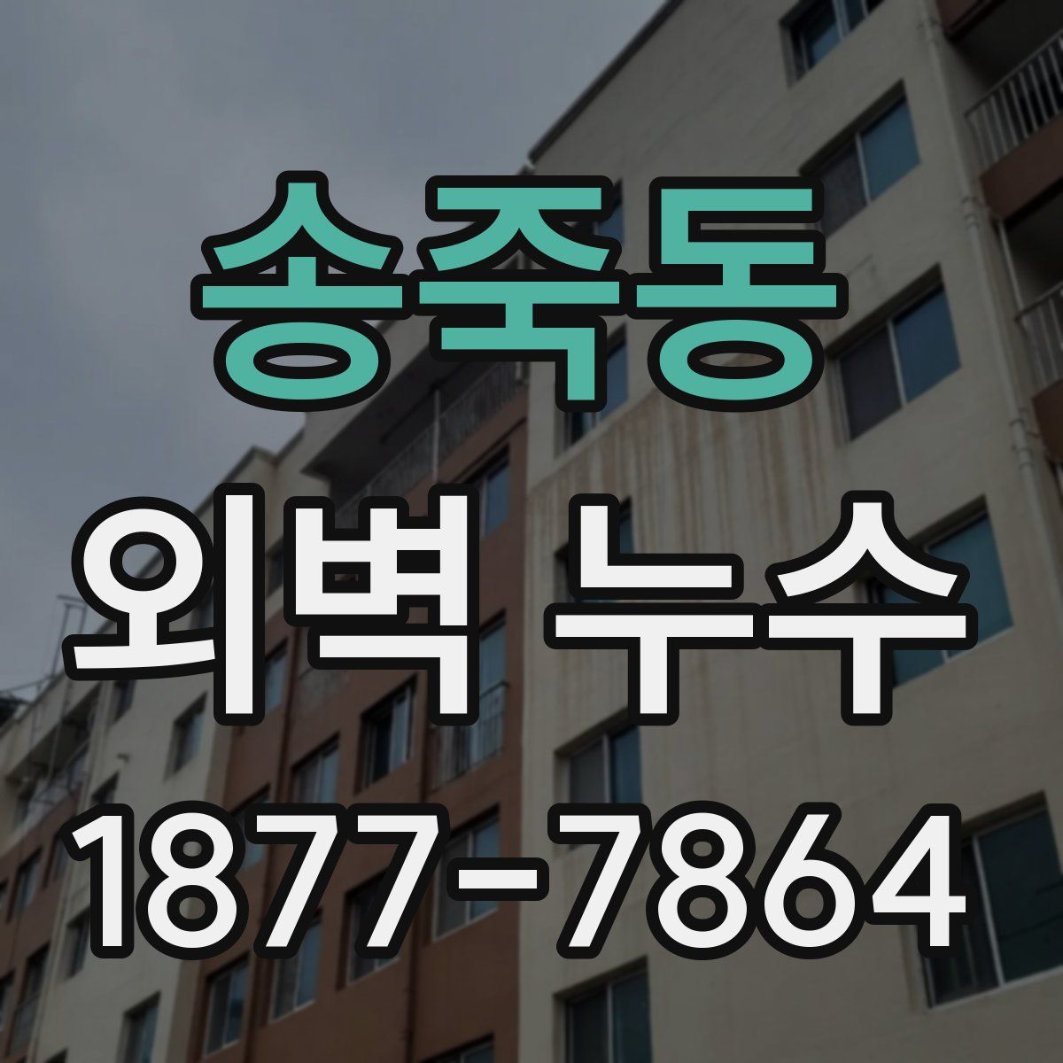 송죽동 외벽 누수