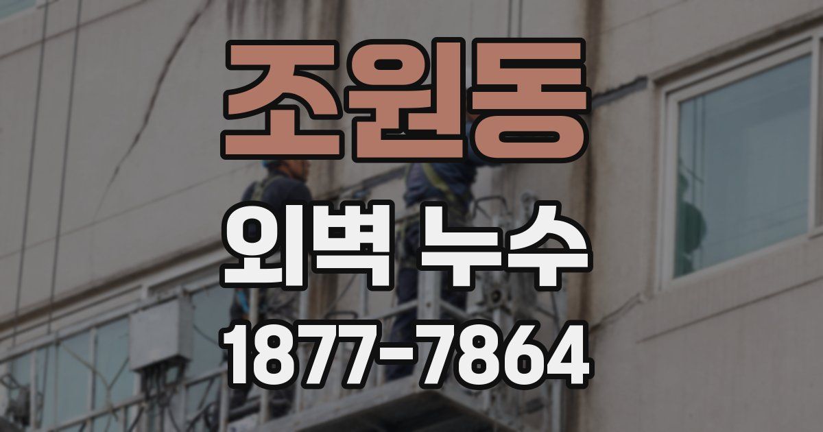 조원동 외벽 누수