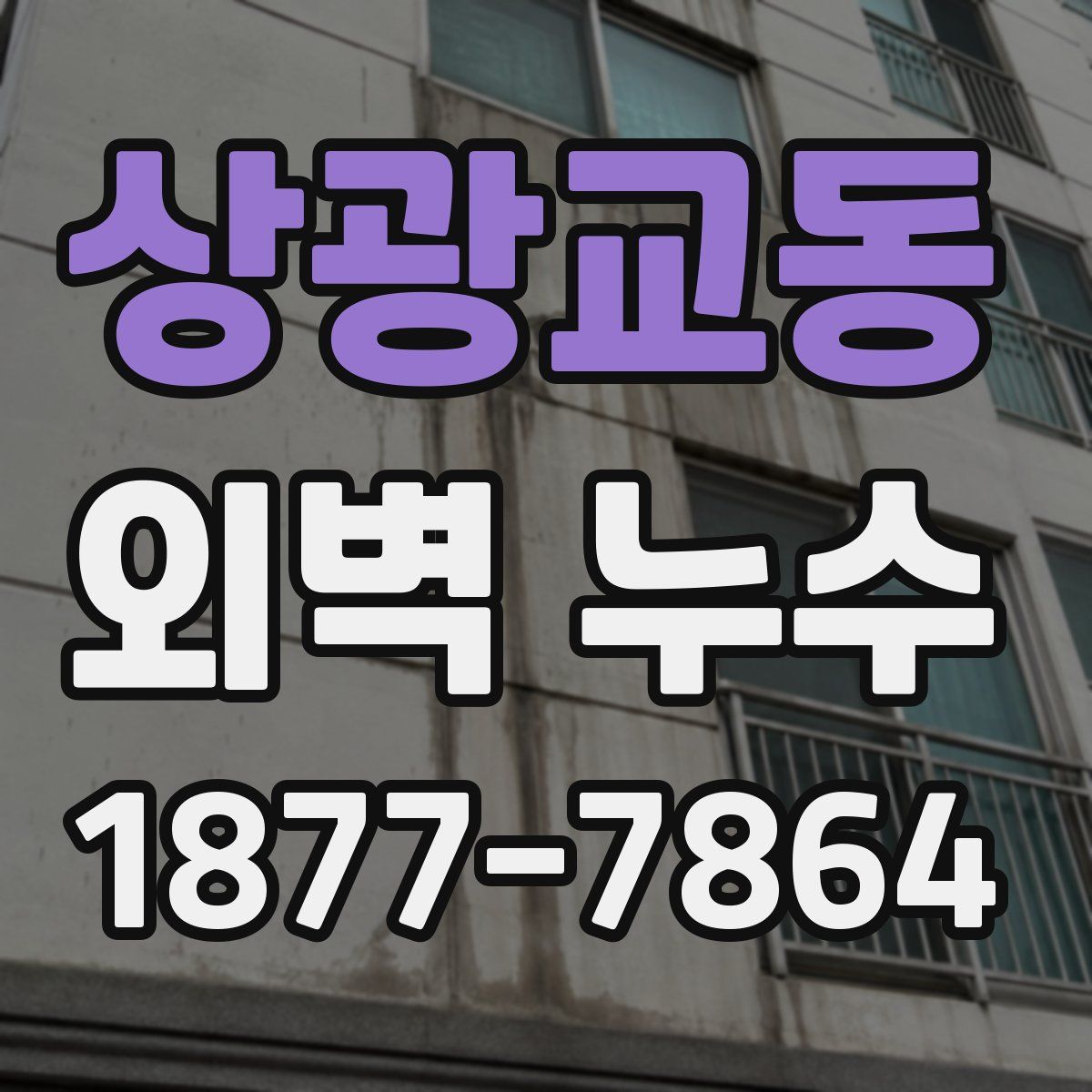 상광교동 외벽 누수