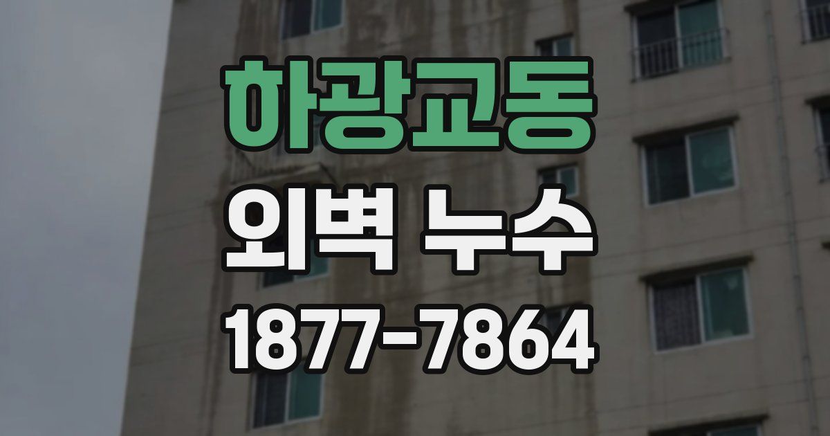 하광교동 외벽 누수