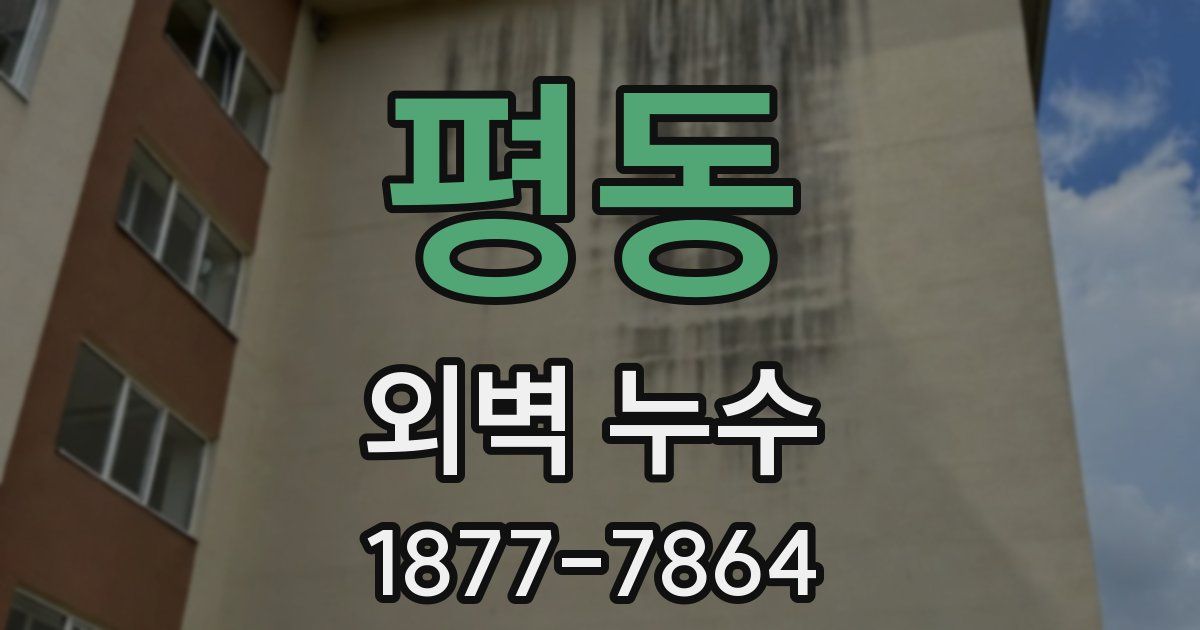 평동 외벽 누수
