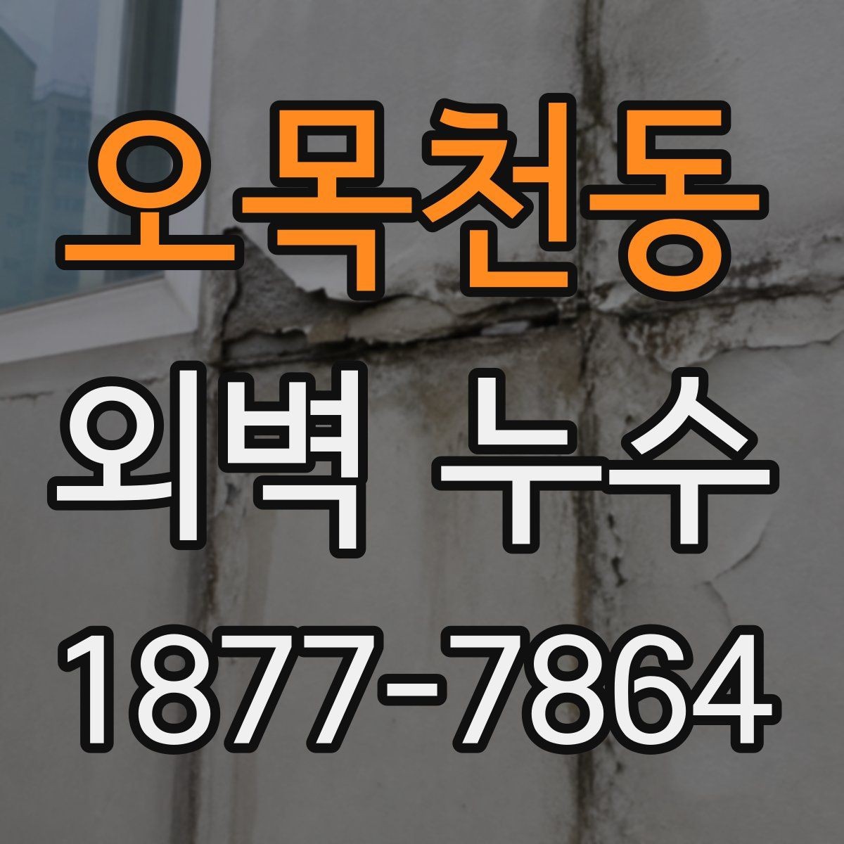 오목천동 외벽 누수 진단 견적을 비교할 때 볼 점