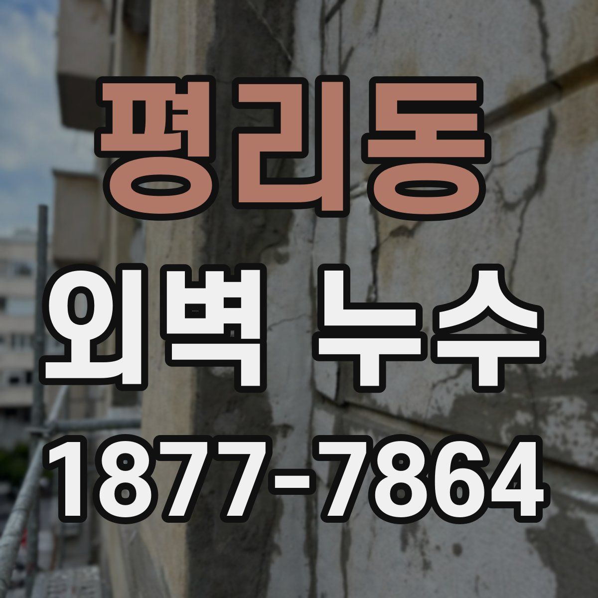 평리동 외벽 누수