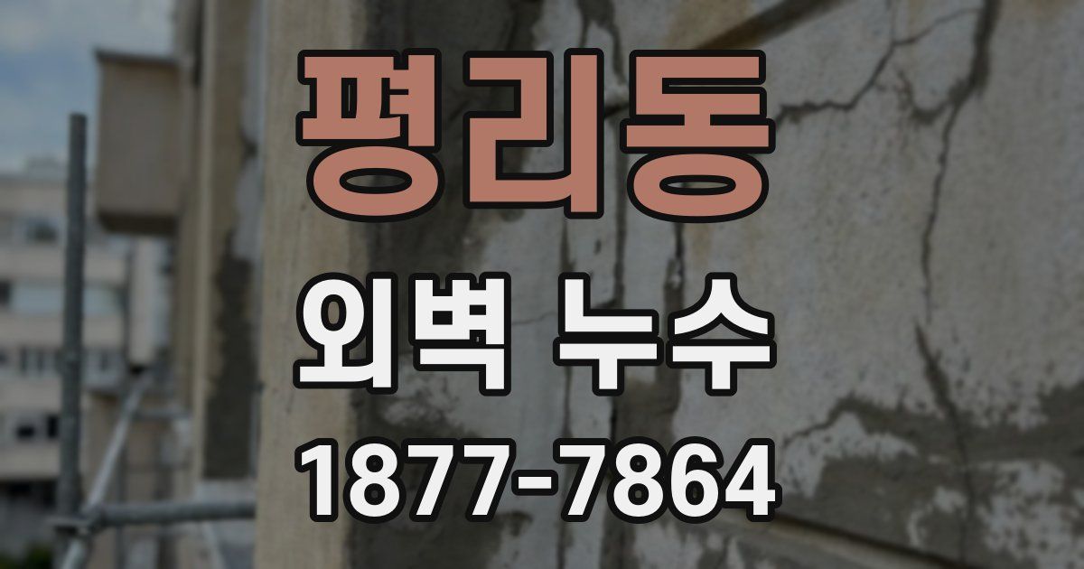 평리동 외벽 누수