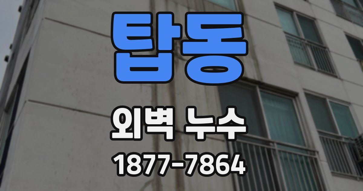 탑동 외벽 누수