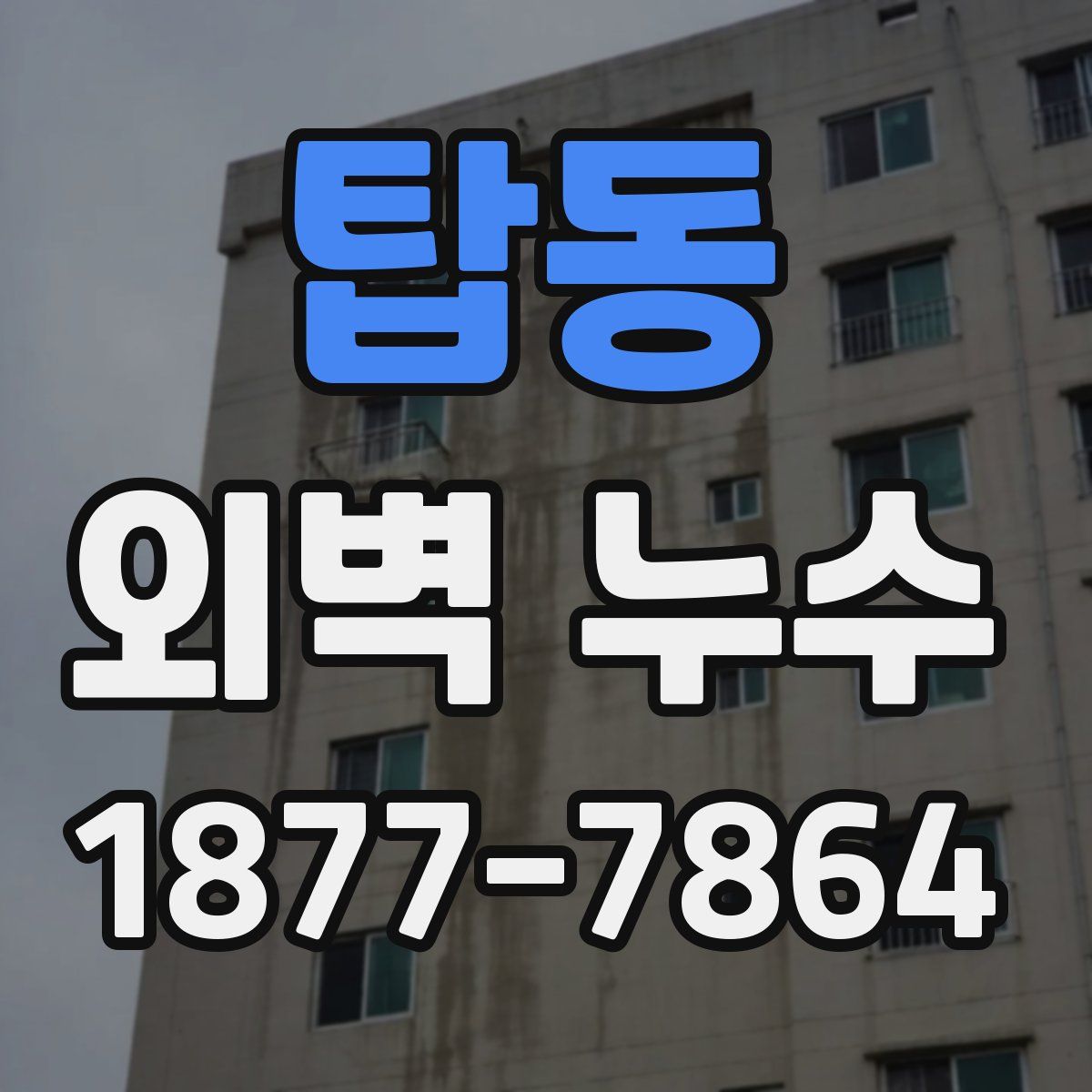 탑동 외벽 누수