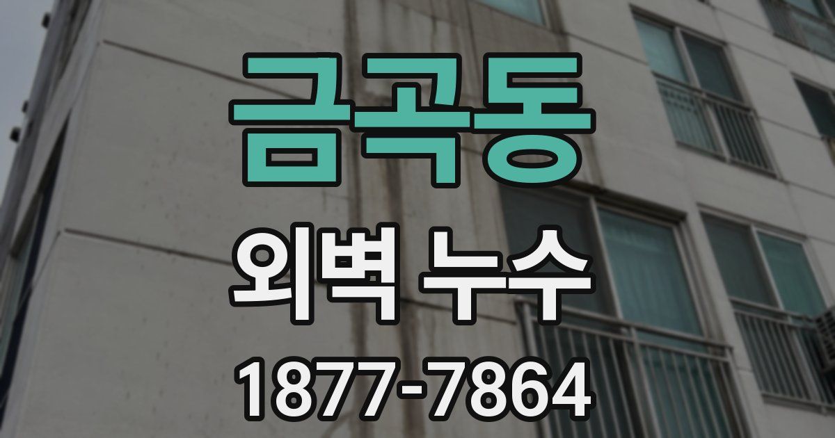 금곡동 외벽 누수