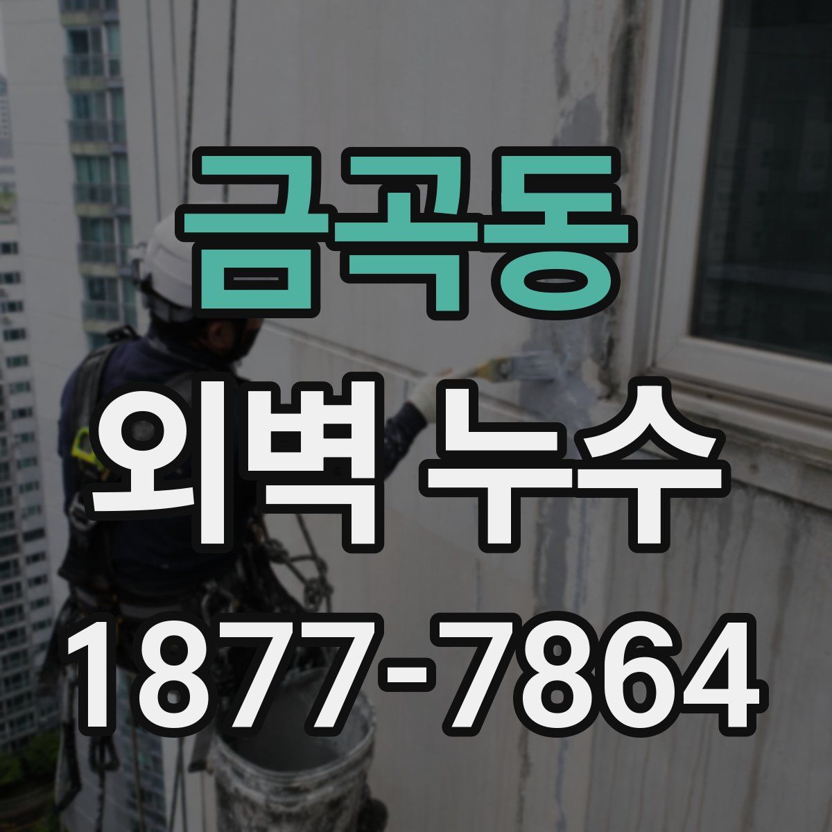 금곡동 외벽 누수