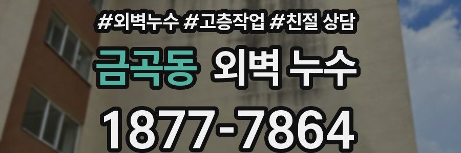 금곡동 외벽 누수