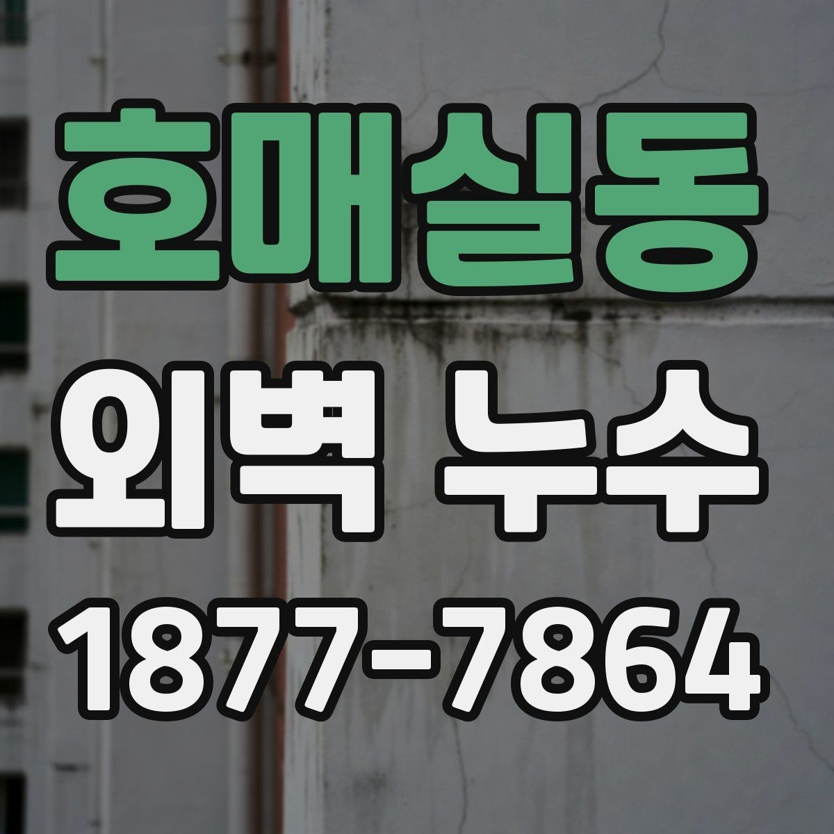 호매실동 외벽 누수 보수 일정 잡기 전 알아둘 점