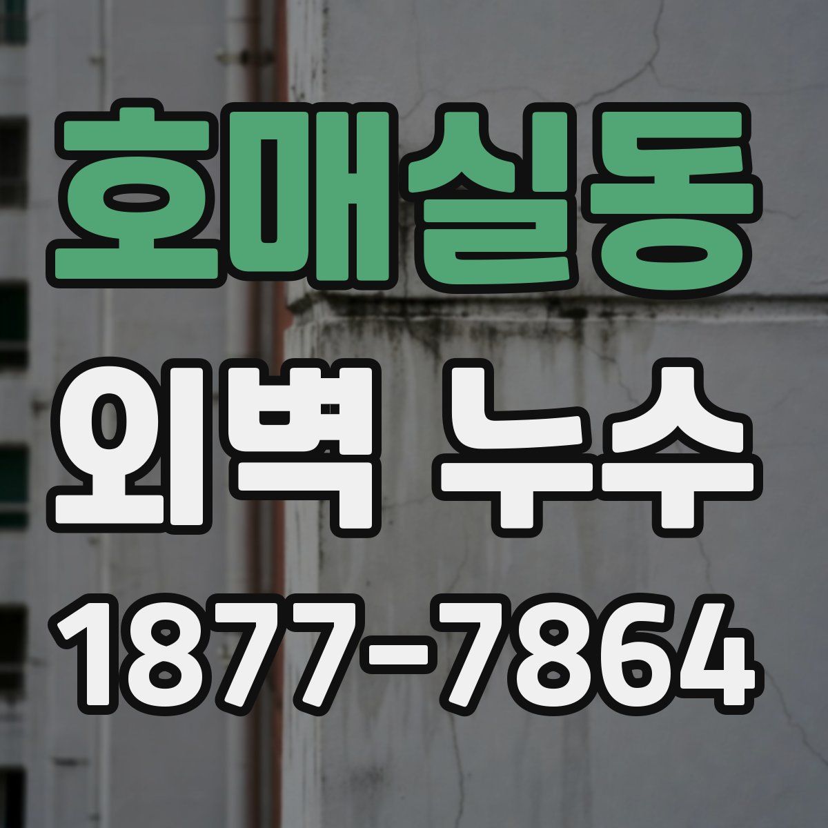 호매실동 외벽 누수