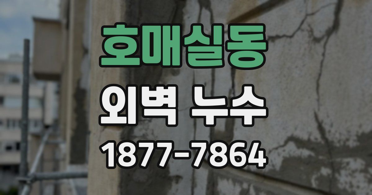 호매실동 외벽 누수
