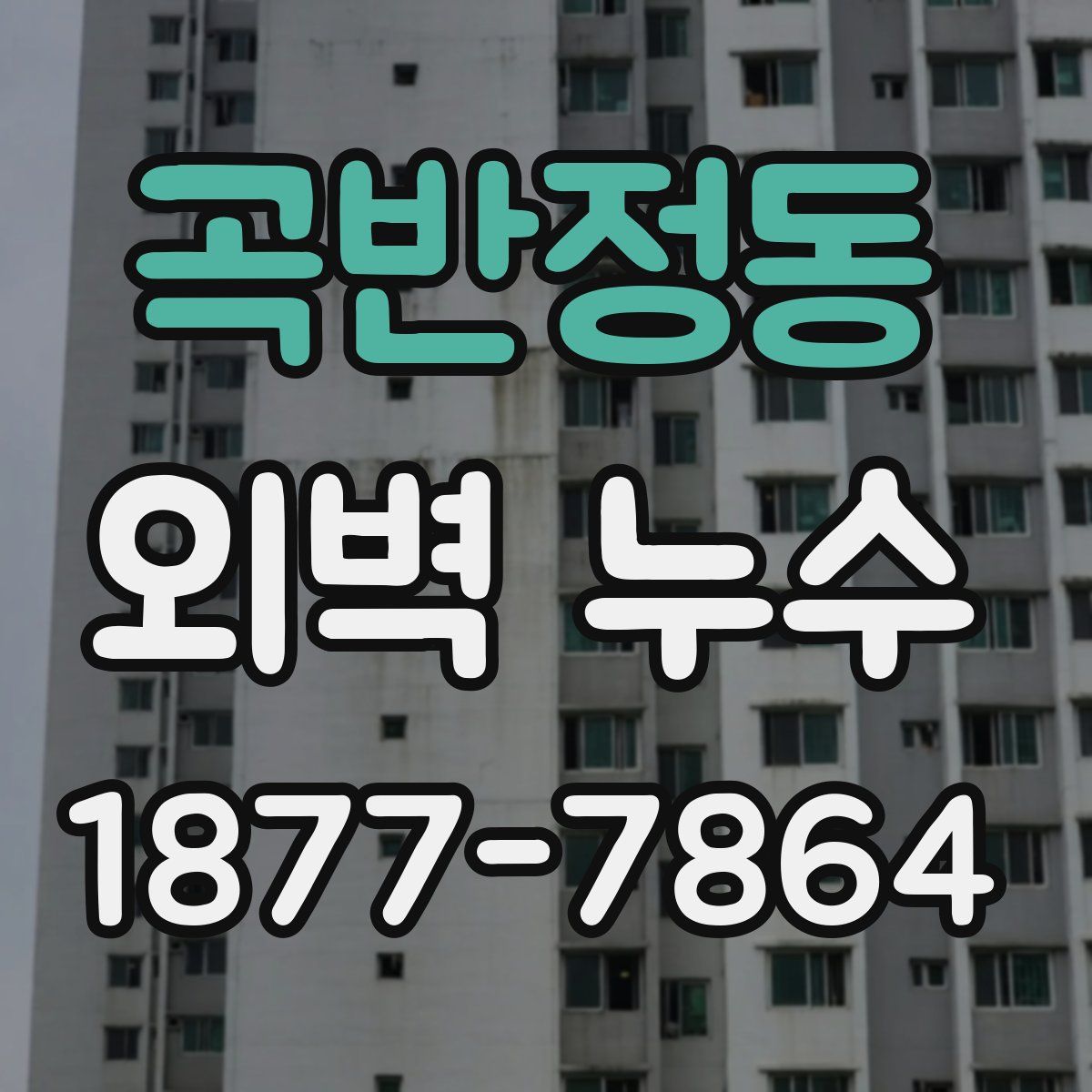 곡반정동 외벽 누수