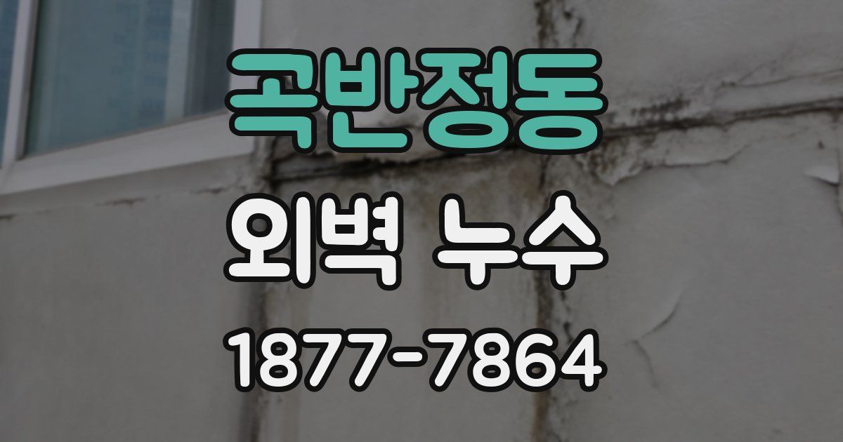 곡반정동 외벽 누수