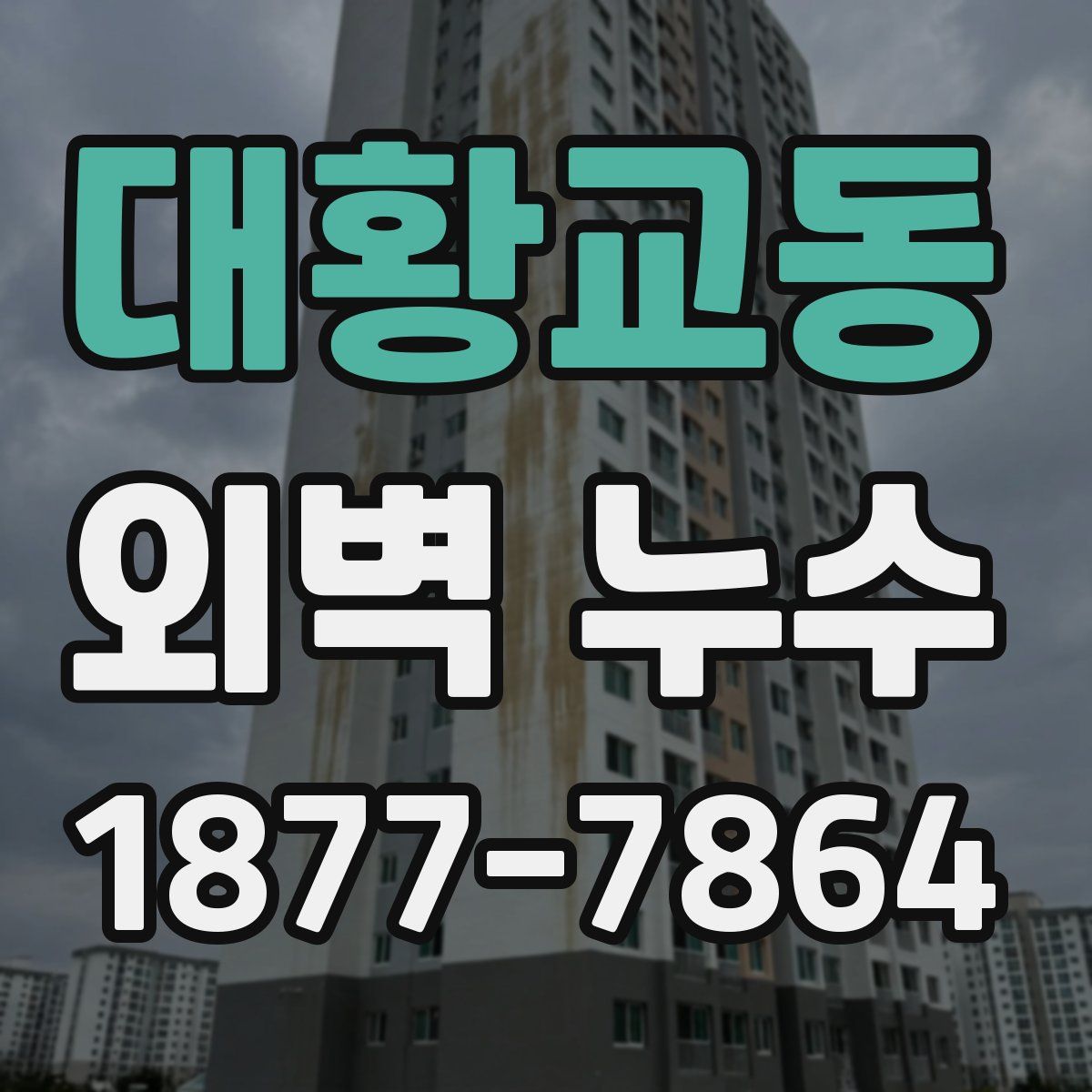 대황교동 외벽 누수