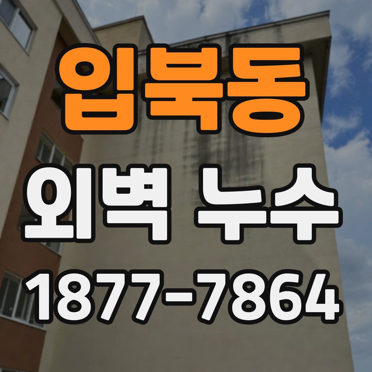 입북동 외벽 누수
