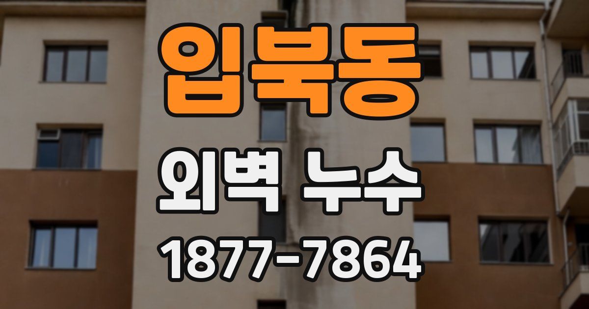 입북동 외벽 누수