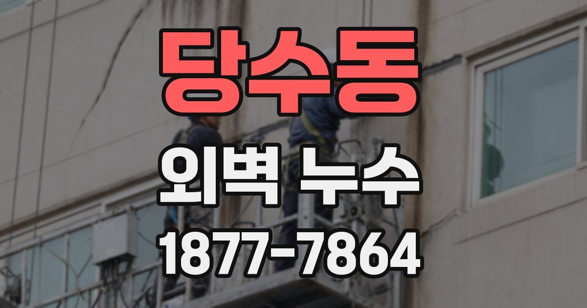 당수동 외벽 누수