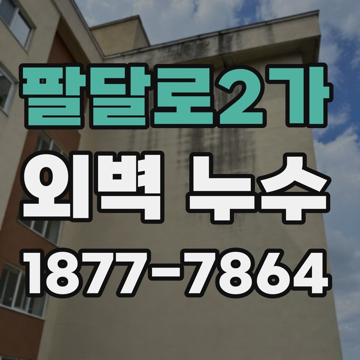 팔달로2가 외벽 누수 의심될 때 체크할 포인트