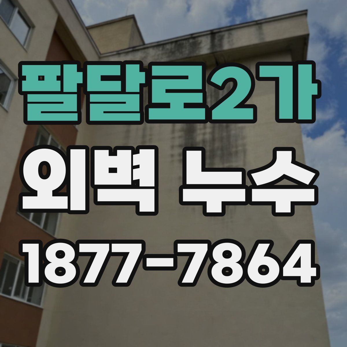 팔달로2가 외벽 누수