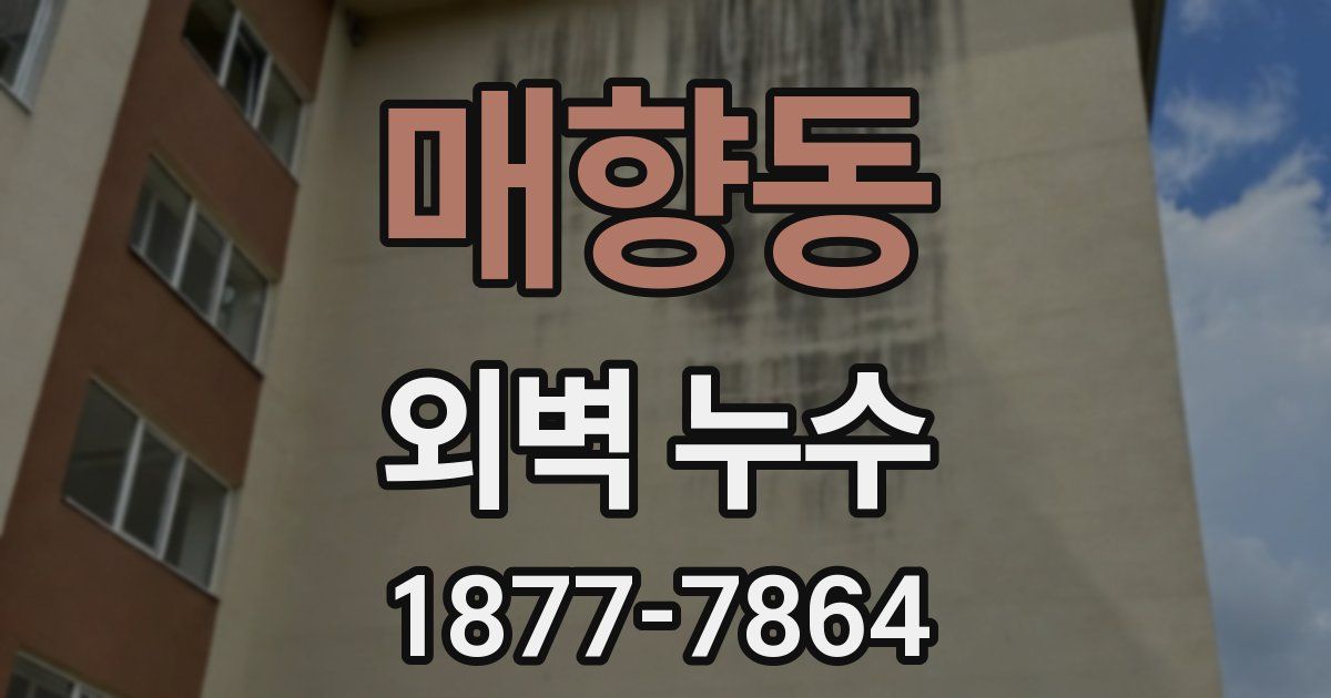 매향동 외벽 누수