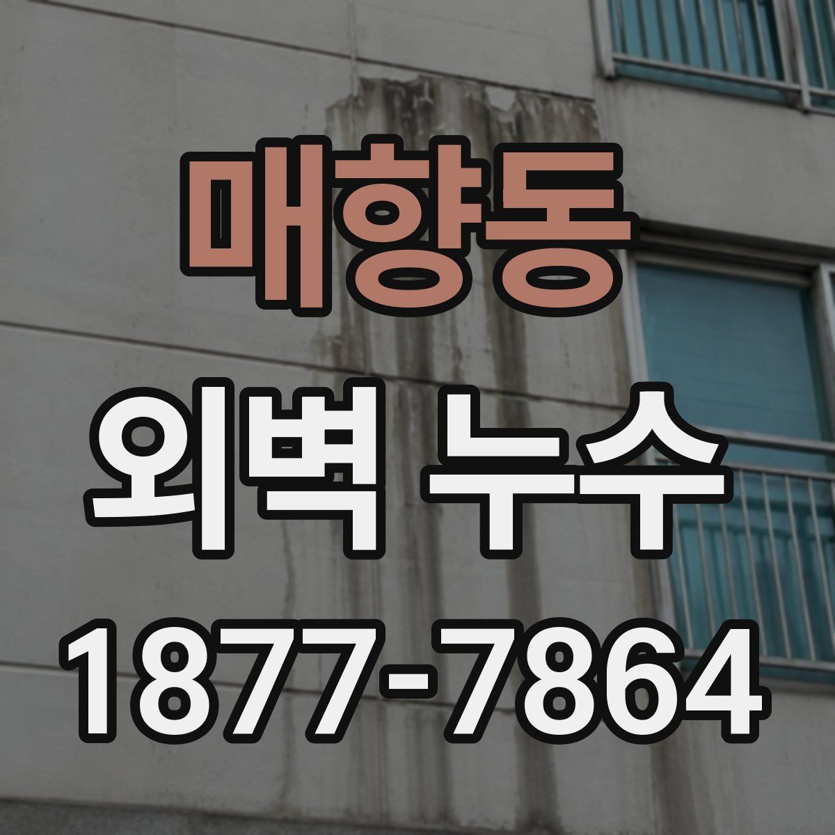 매향동 외벽 누수