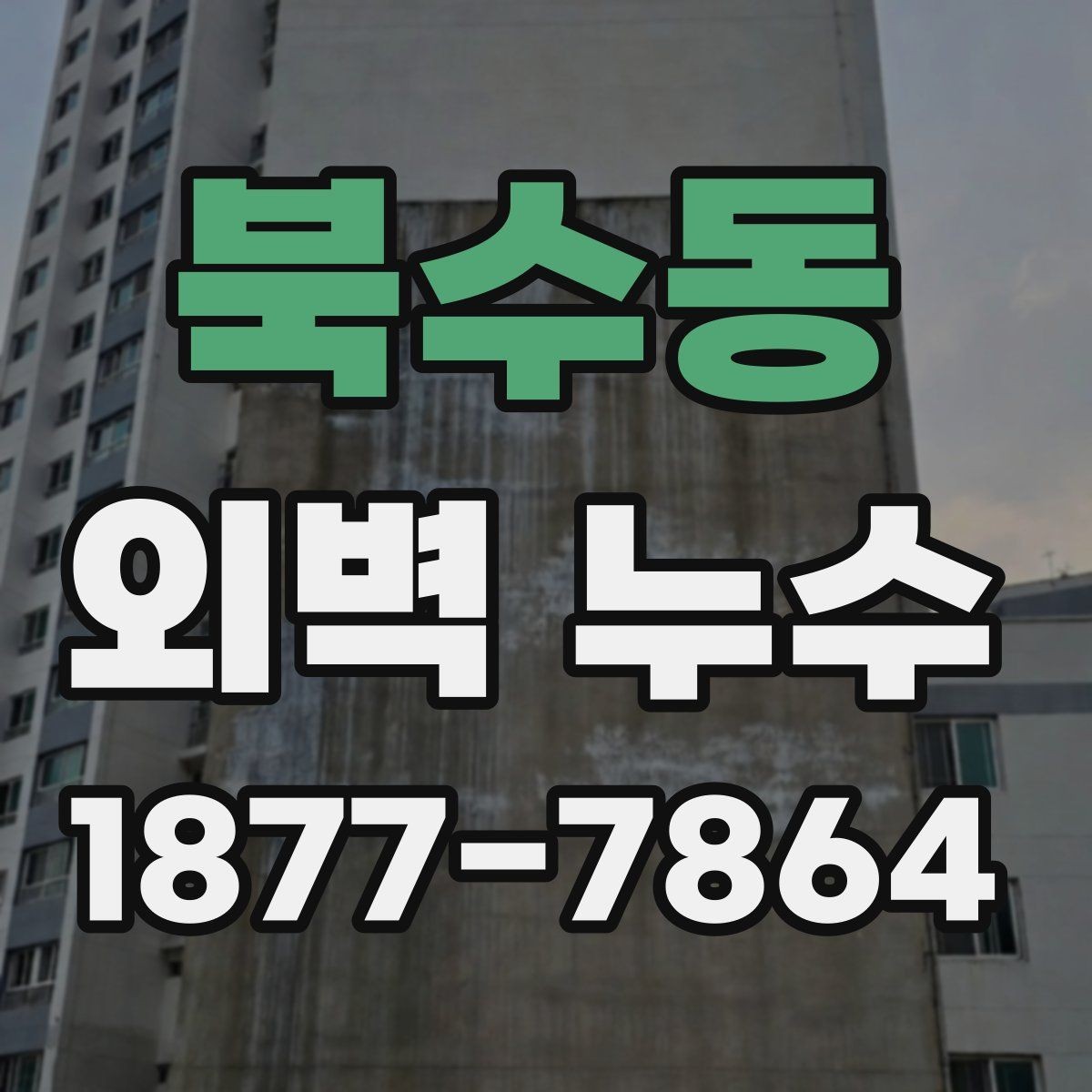 북수동 외벽 누수 보수 전에 사진으로 기록할 것