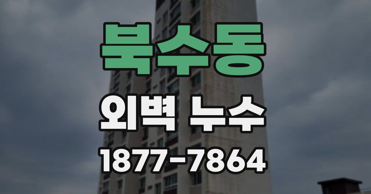 북수동 외벽 누수
