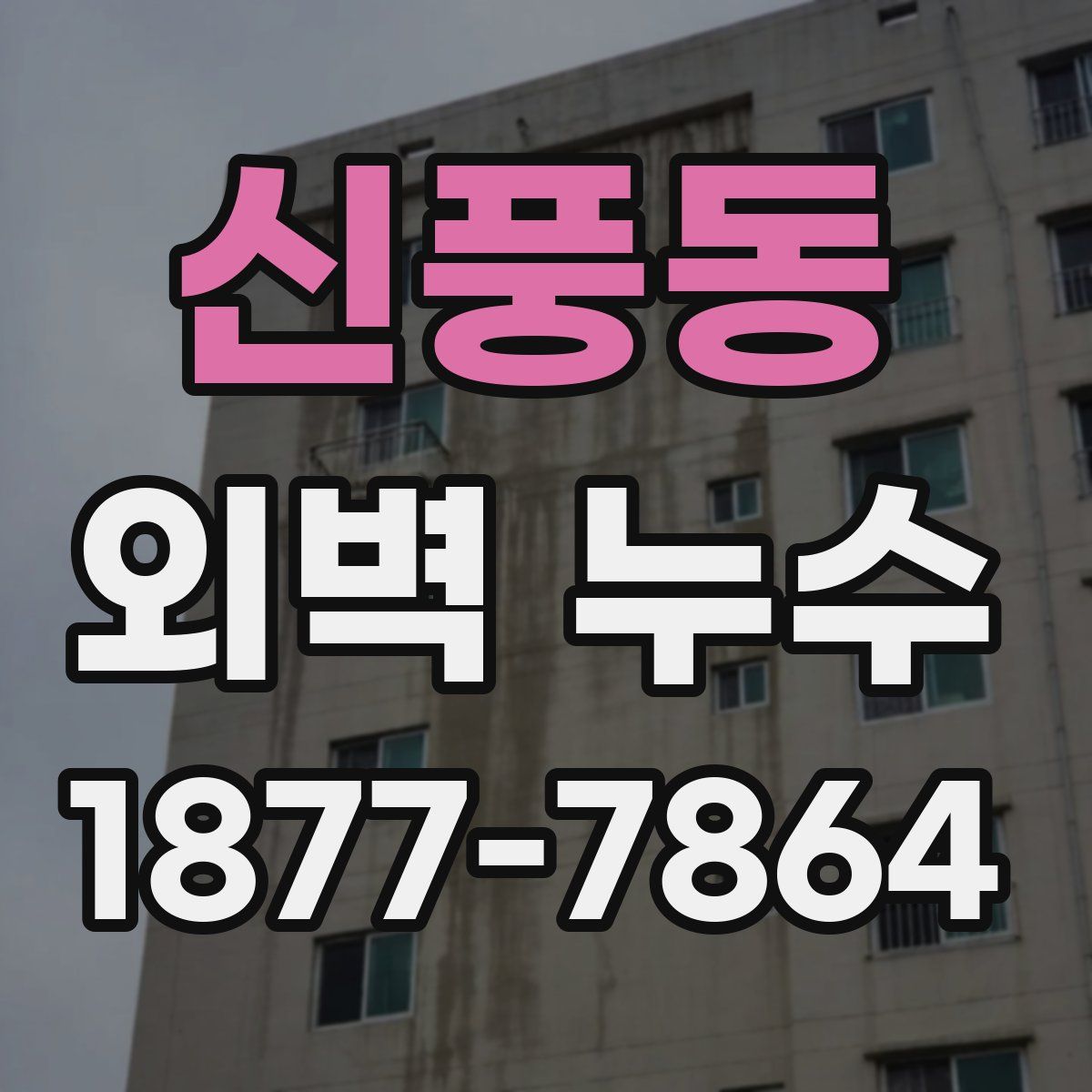 신풍동 외벽 누수