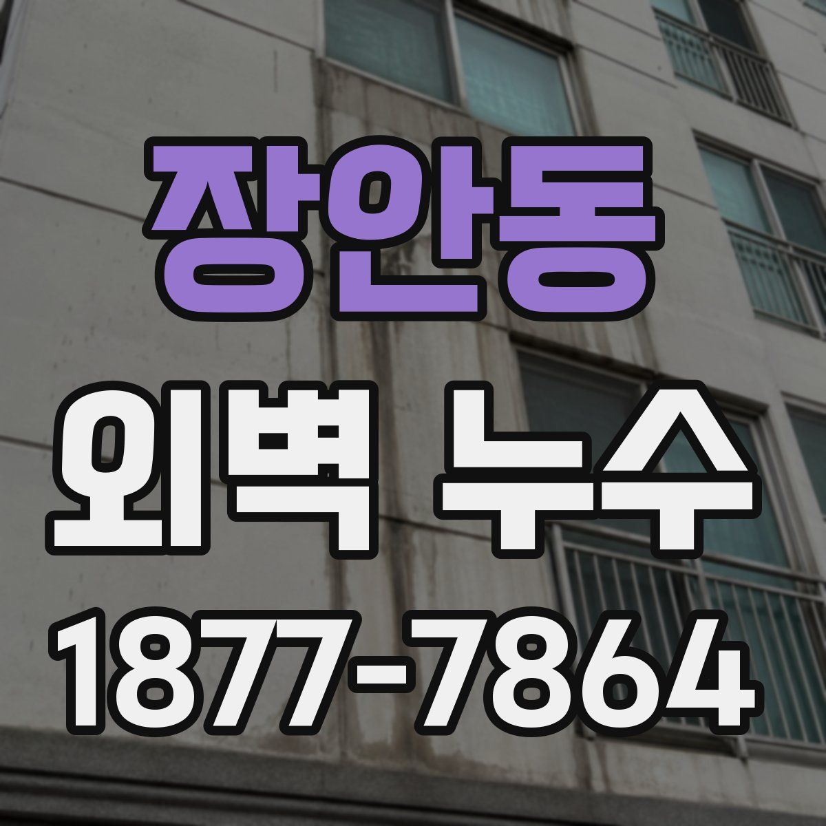 장안동 외벽 누수