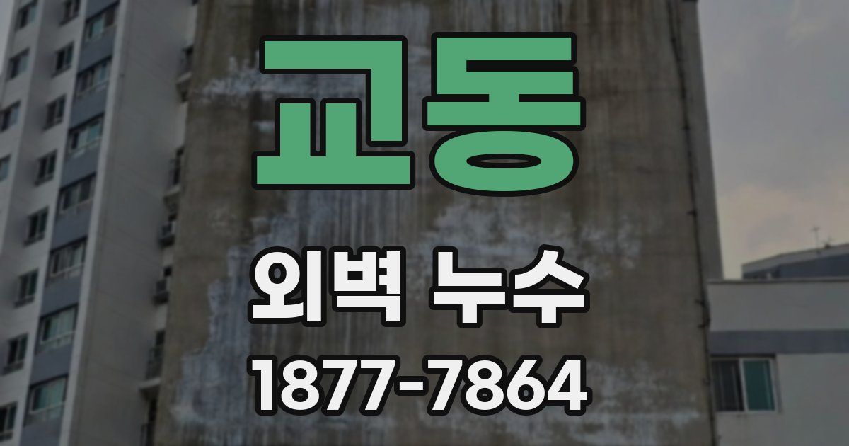 교동 외벽 누수