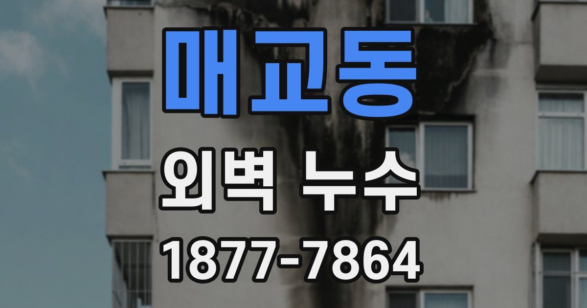 매교동 외벽 누수