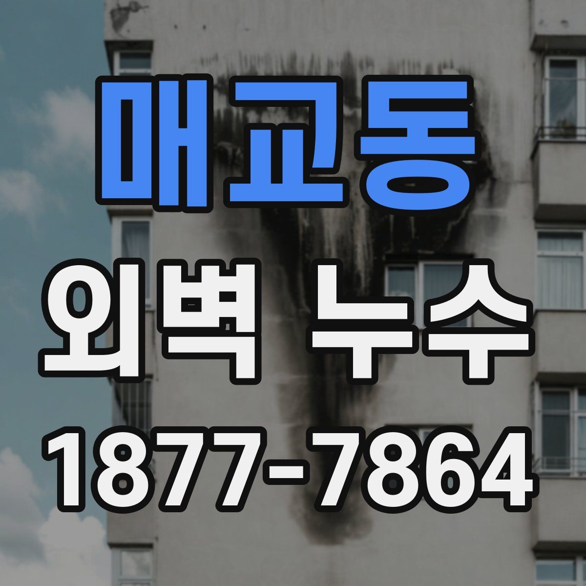 매교동 외벽 누수