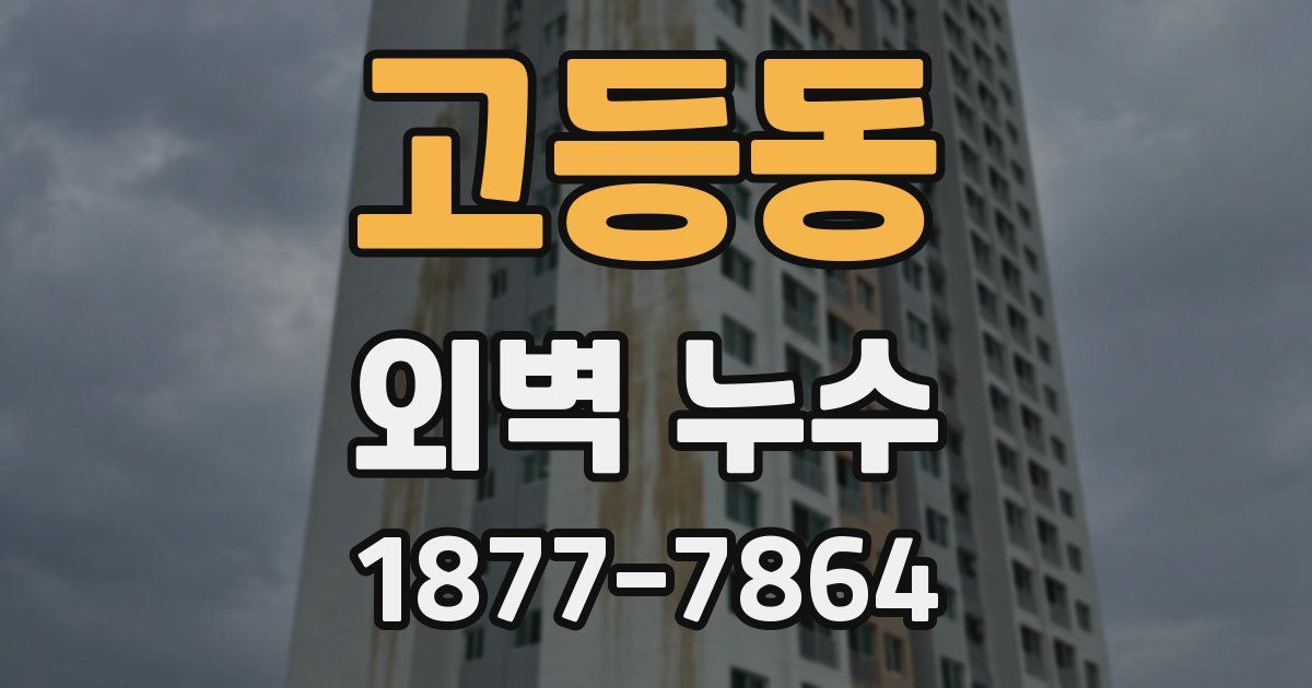 고등동 외벽 누수
