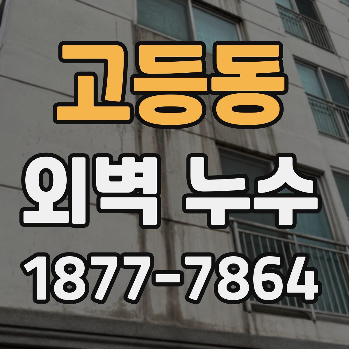 고등동 외벽 누수