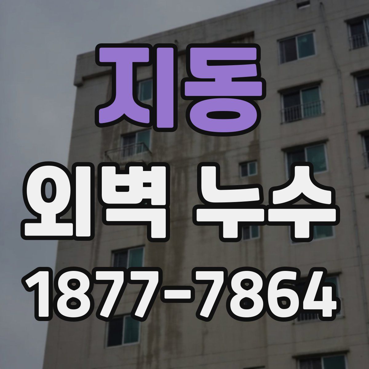 지동 외벽 누수