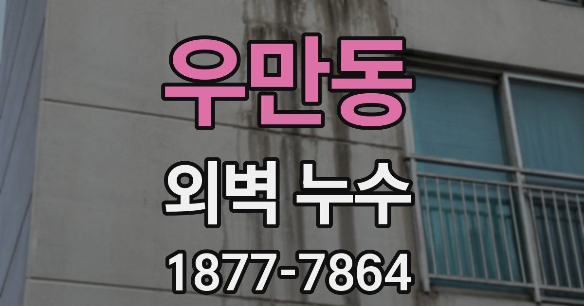 우만동 외벽 누수