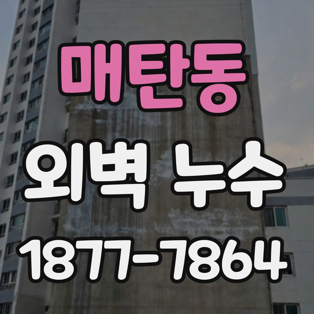 매탄동 외벽 누수
