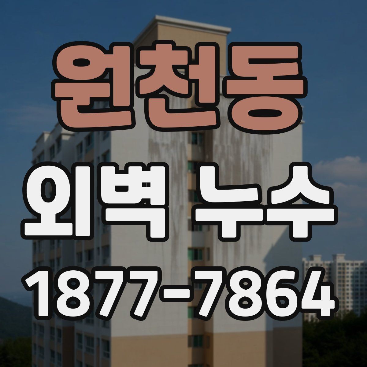 원천동 외벽 누수 보수 범위를 정하는 방법
