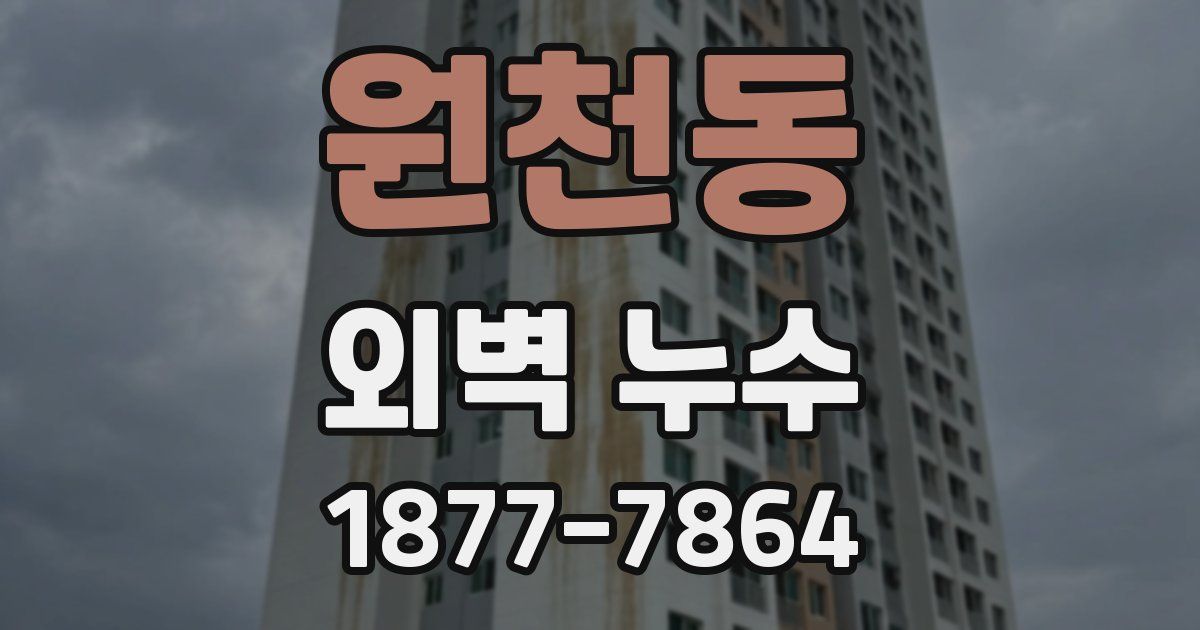 원천동 외벽 누수