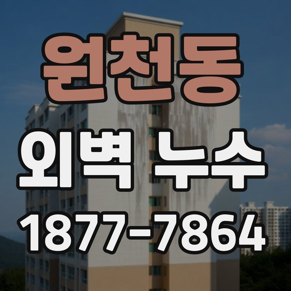 원천동 외벽 누수