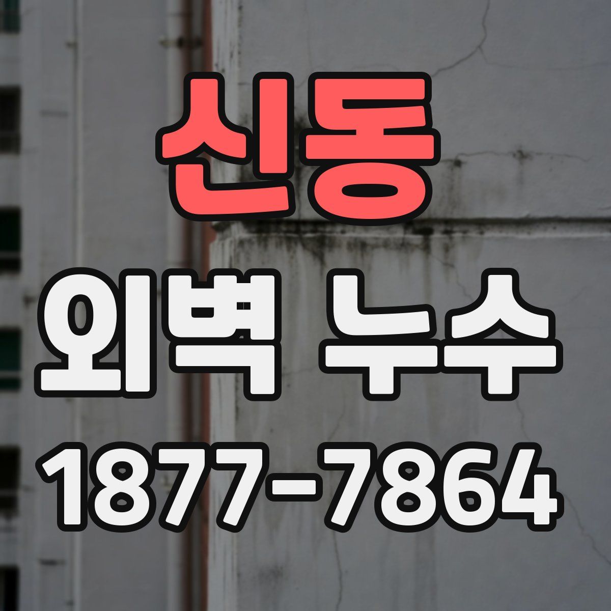 신동 외벽 누수