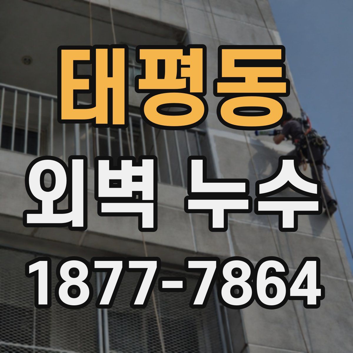 태평동 외벽 누수