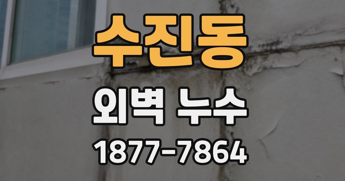 수진동 외벽 누수
