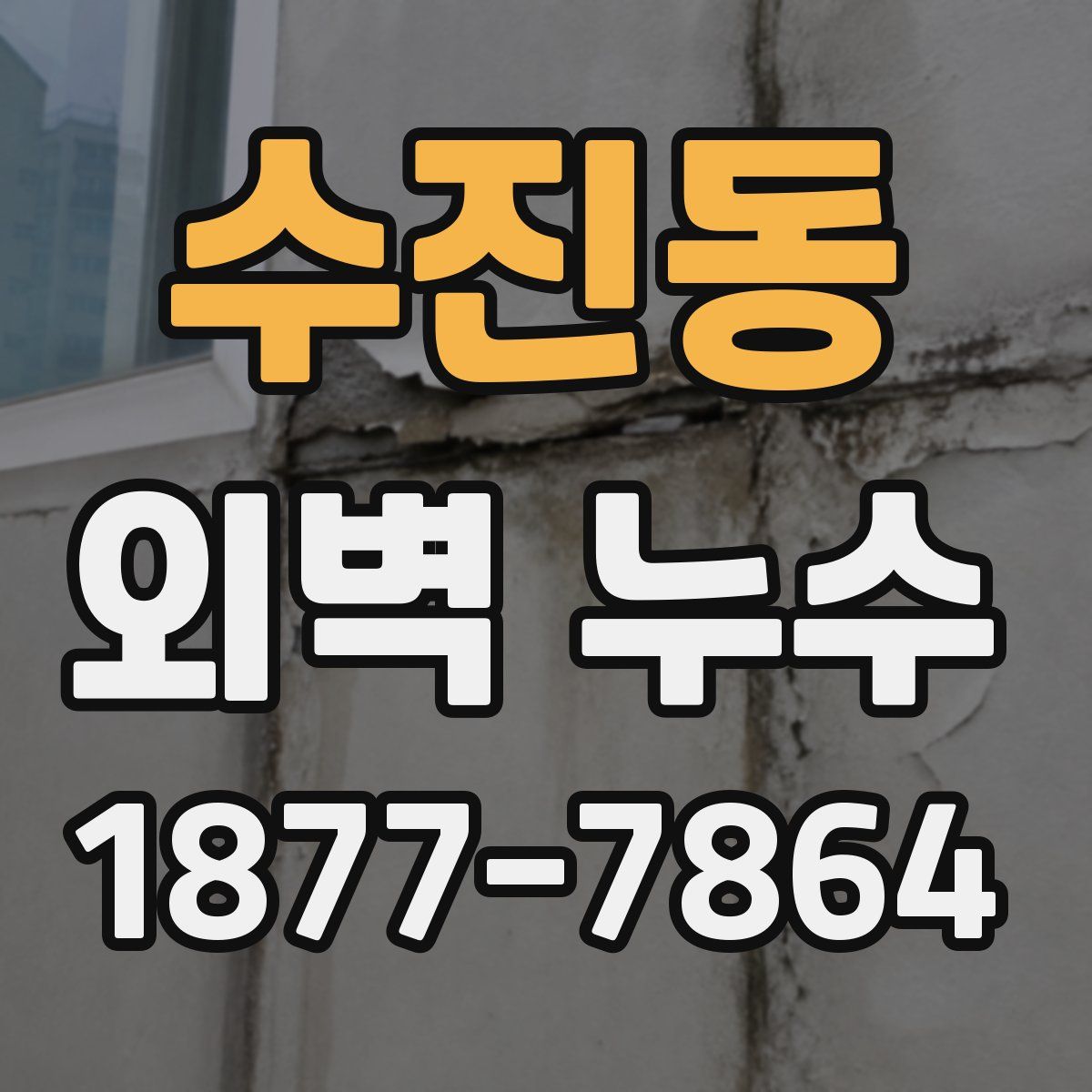 수진동 외벽 누수
