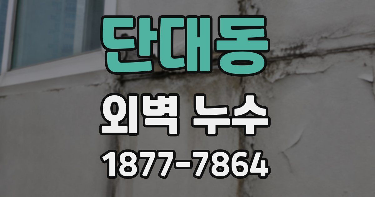 단대동 외벽 누수