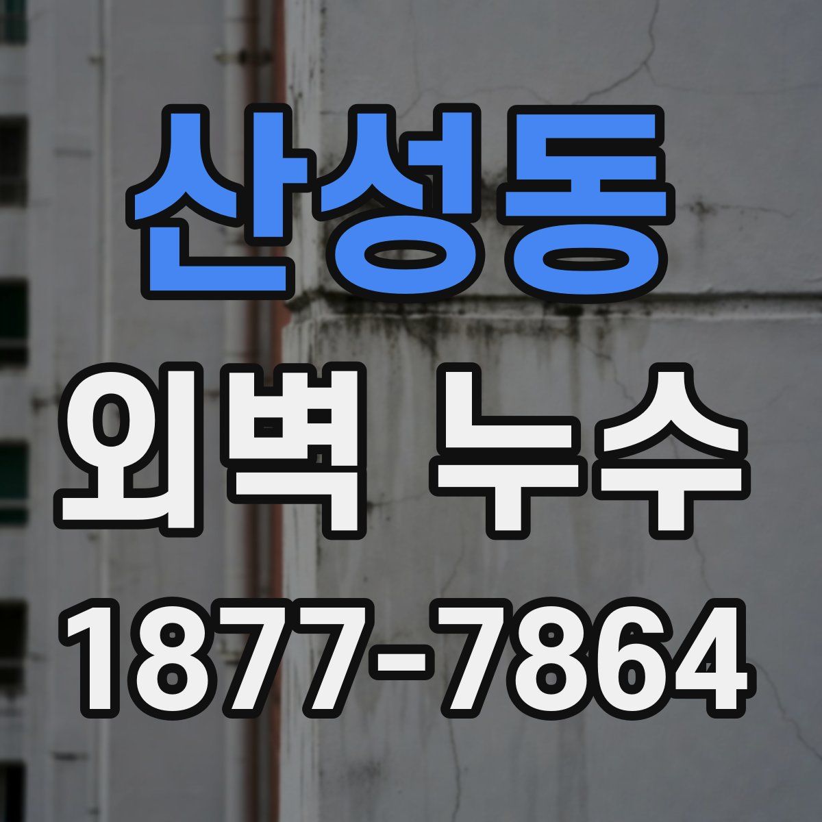 산성동 외벽 누수